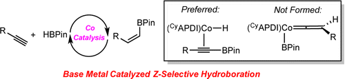 Cobalt Catalyzed Z-Selective Hydroboration of Terminal Alkynes and Elucidation of the Origin of Selectivity