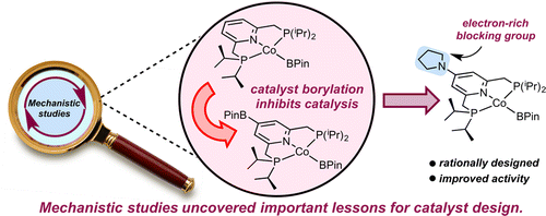 Cobalt-Catalyzed C(sp2)-H Borylation: Mechanistic Insights Inspire Catalyst Design