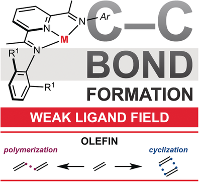 Carbon-Carbon Bond Formation in a Weak Ligand Field: Leveraging Open Shell First Row Transition Metal Catalysts
