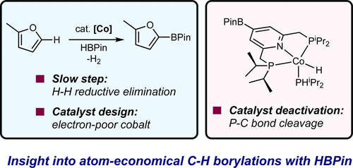 Mechanistic Studies of Cobalt-Catalyzed C(sp2)–H Borylation of Five-Membered Heteroarenes with Pinacolborane