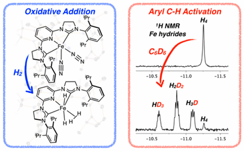 Synthesis of Iron Hydride Complexes Relevant to Hydrogen Isotope Exchange in Pharmaceuticals