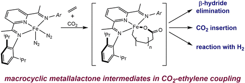 Iron-Mediated Coupling of Carbon Dioxide and Ethylene: Macrocyclic Metallalactones Enable Access to Various Carboxylates