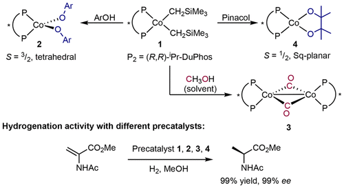 Exploring the Alcohol Stability of Bis(phosphine) Cobalt Dialkyl Precatalysts in Asymmetric Alkene Hydrogenation