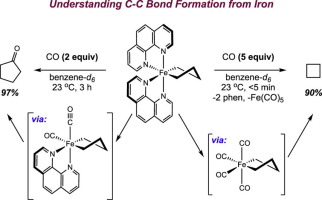 Exploring C(sp3)–C(sp3) reductive elimination from an isolable iron metallacycle