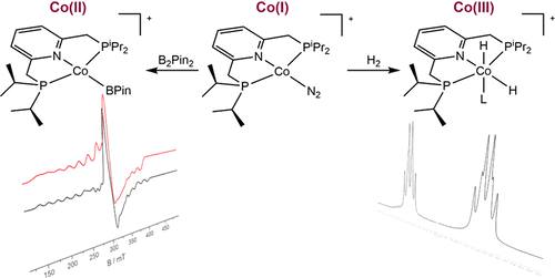 Oxidative Addition of Dihydrogen, Boron Compounds, and Aryl Halides to a Cobalt(I) Cation Supported by a Strong-Field Pincer Ligand