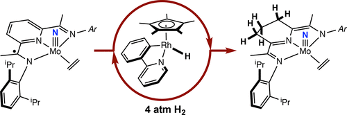 Pyridine(diimine) Chelate Hydrogenation in a Molybdenum Nitrido Ethylene Complex