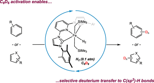 C(sp2)–H Activation with Pyridine Dicarbene Iron Dialkyl Complexes: Hydrogen Isotope Exchange of Arenes Using Benzene-d6 as a Deuterium Source