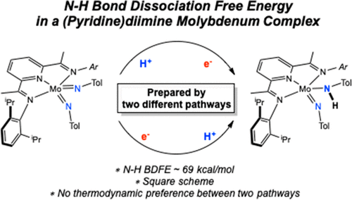 Determination of the N–H Bond Dissociation Free Energy in a Pyridine(diimine)molybdenum Complex Prepared by Proton-Coupled Electron Transfer