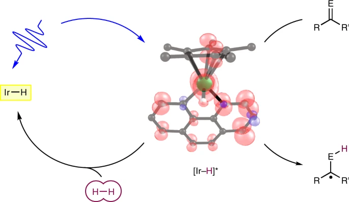 Visible light enables catalytic formation of weak chemical bonds with molecular hydrogen