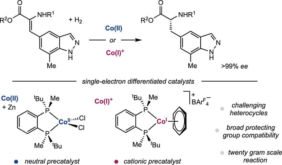 Asymmetric Hydrogenation of Indazole-Containing Enamides Relevant to the Synthesis of Zavegepant Using Neutral and Cationic Cobalt Precatalysts