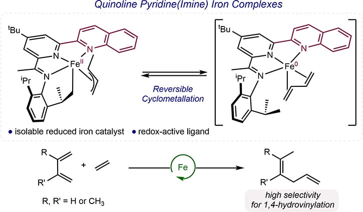 Quinoline Pyridine(Imine) Iron Complexes as Catalysts for the 1,4-Hydrovinylation of 1,3-Dienes