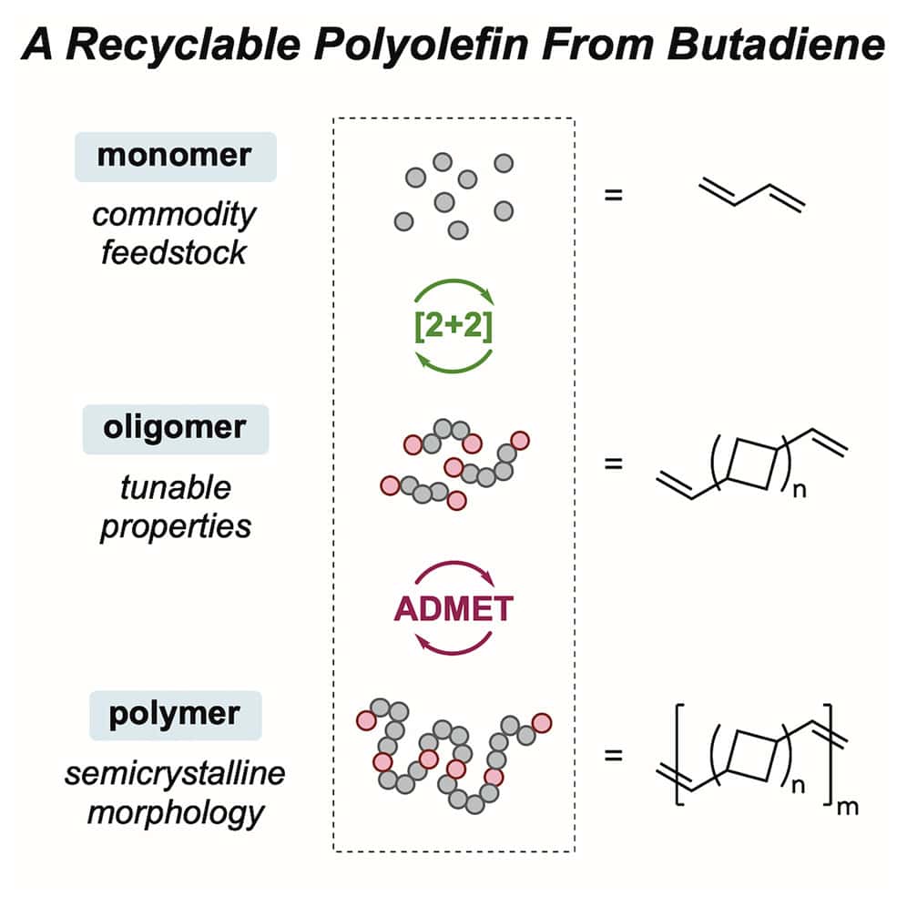 A butadiene-derived semicrystalline polyolefin with two-tiered chemical recyclability