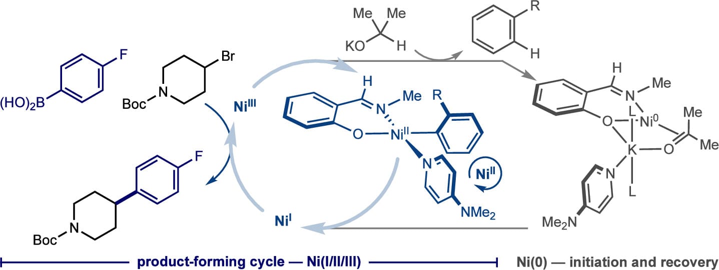 (Phenoxyimine)nickel-Catalyzed C(sp2)–C(sp3) Suzuki–Miyaura Cross-Coupling: Evidence for a Recovering Radical Chain Mechanism