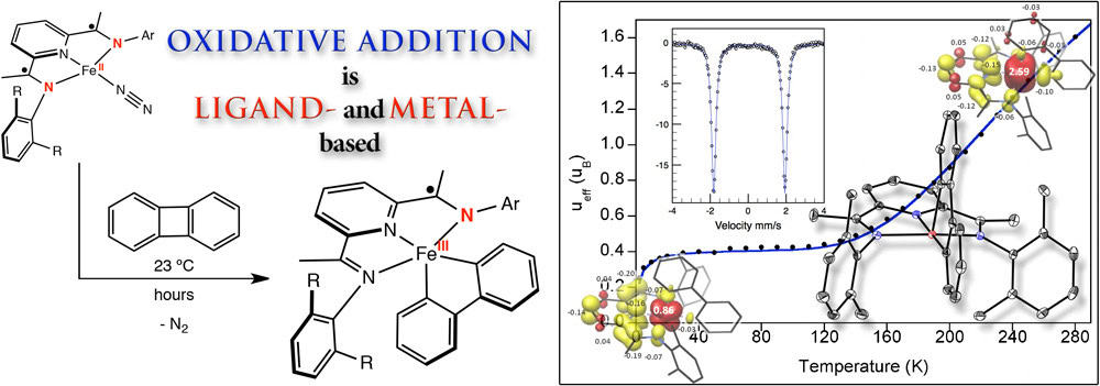 Oxidative addition of carbon-carbon bonds with a redox-active bis(imino)pyridine iron complex.