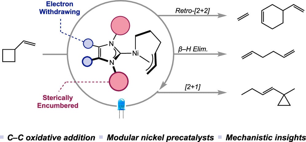 Nickel-Catalyzed C–C Activation of Vinylcyclobutane with Visible Light: Scope, Mechanism, and Application to Chemically Recyclable Polyolefins