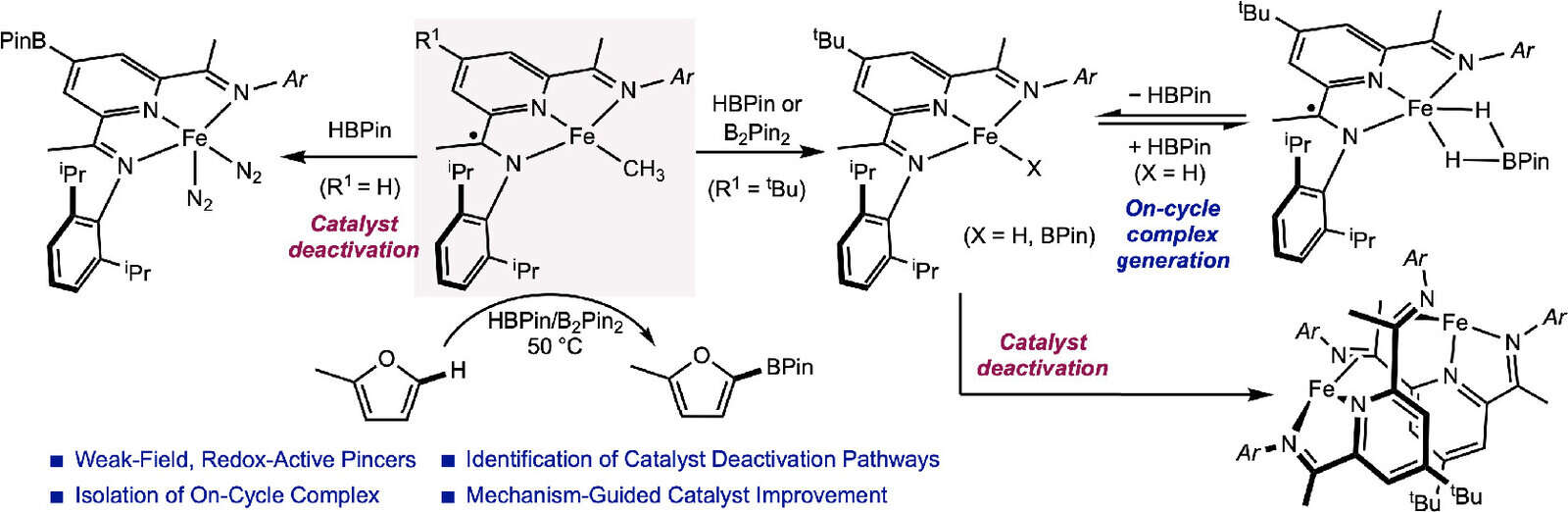 Mechanistic Studies and Identification of Catalyst Deactivation Pathways for Pyridine(diimine) Iron Catalyzed C(sp2)–H Borylation