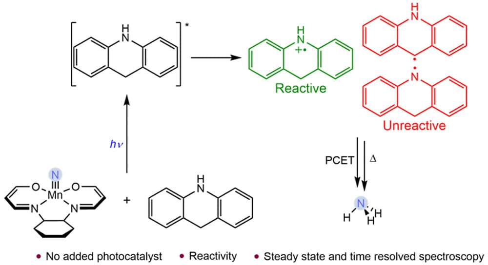 Photodriven Ammonia Synthesis from Manganese Nitrides: Photophysics and Mechanistic Investigations