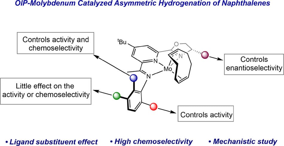 Asymmetric Hydrogenation of Naphthalenes with Molybdenum Catalysts: Ligand Design Improves Chemoselectivity
